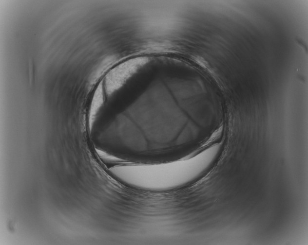 X0000099421459200806060944