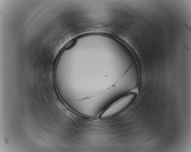 X0000099421460200806060944