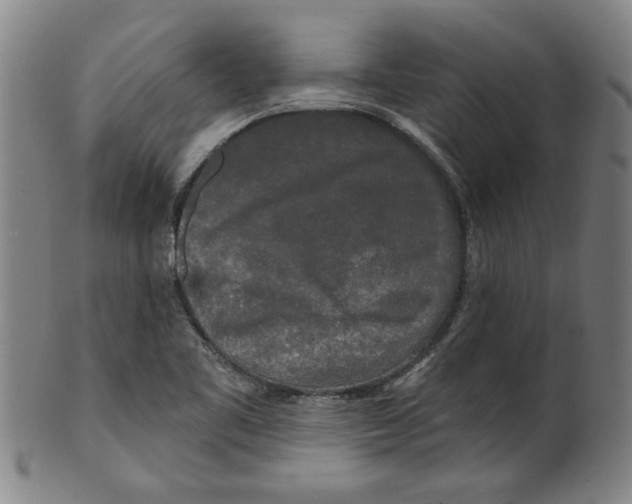 X0000099421461200806060944