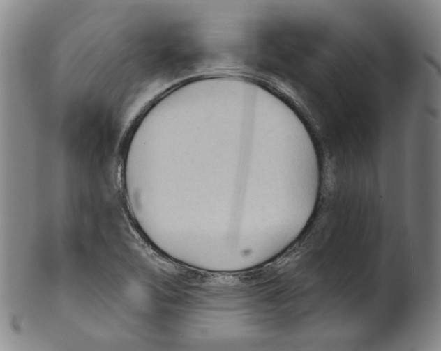 X0000099421462200806060944