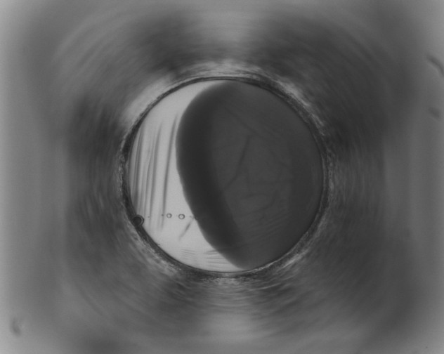 X0000099421463200806060944