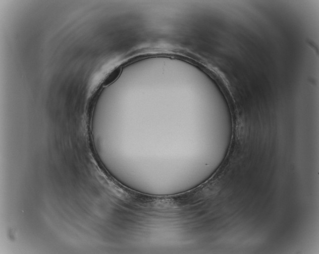 X0000099421464200806060944