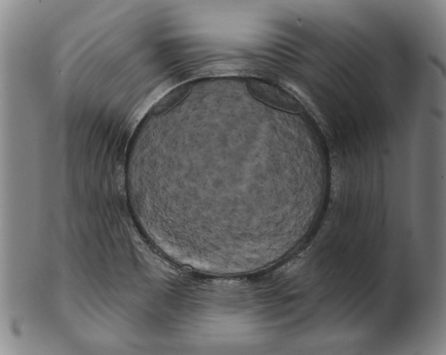 X0000099421465200806060944