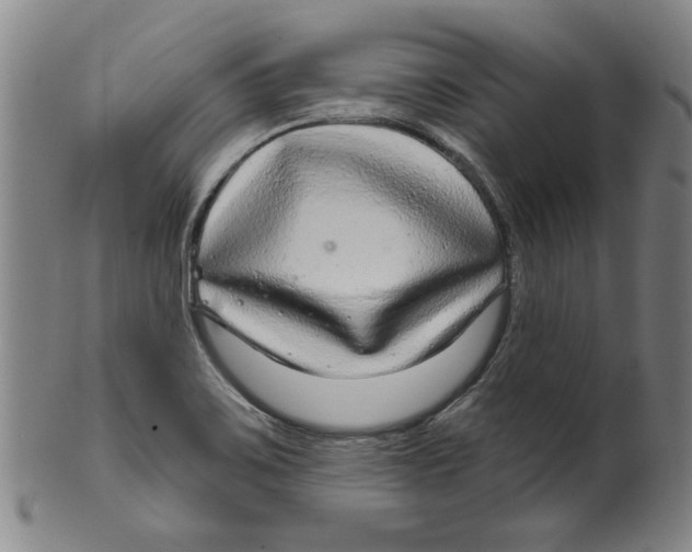 X0000099421467200806060944