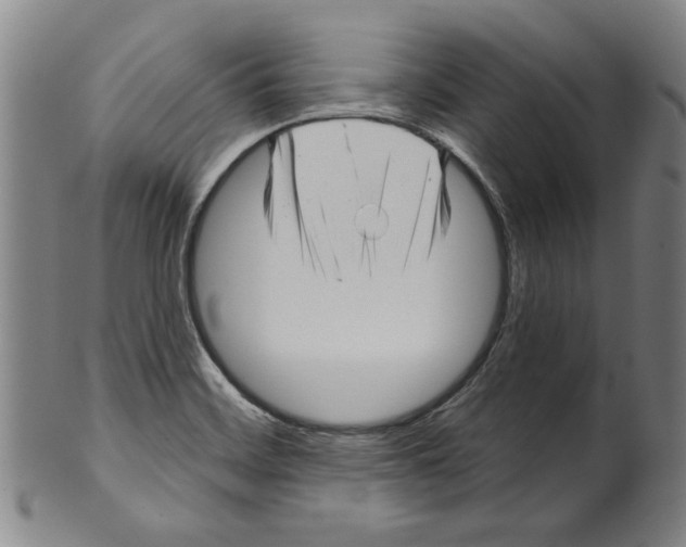 X0000099421468200806060944