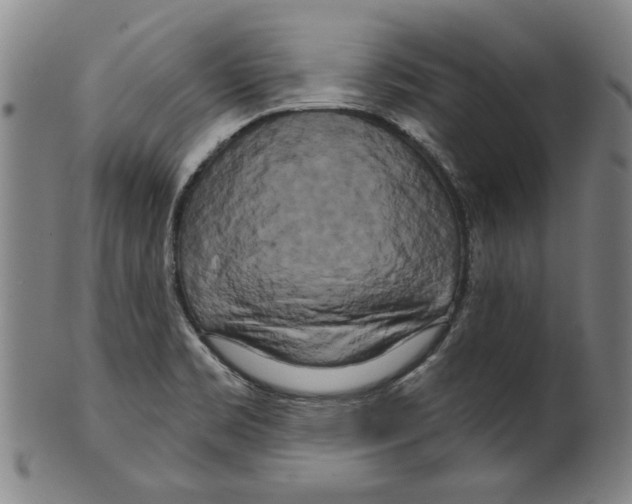 X0000099421469200806060944