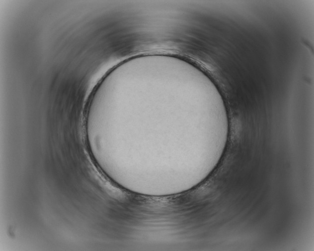 X0000099421470200806060944