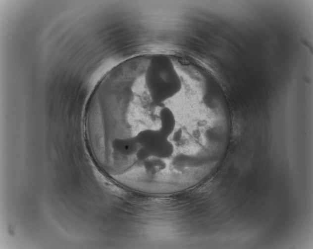 X0000099421471200806060944