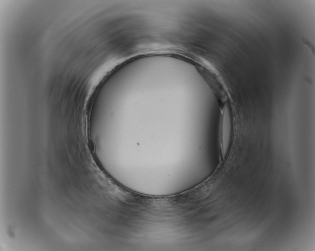 X0000099421472200806060944