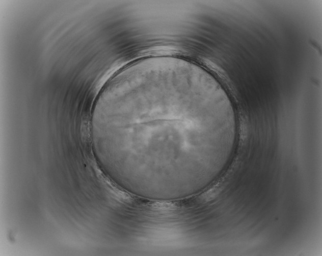 X0000099421473200806060944