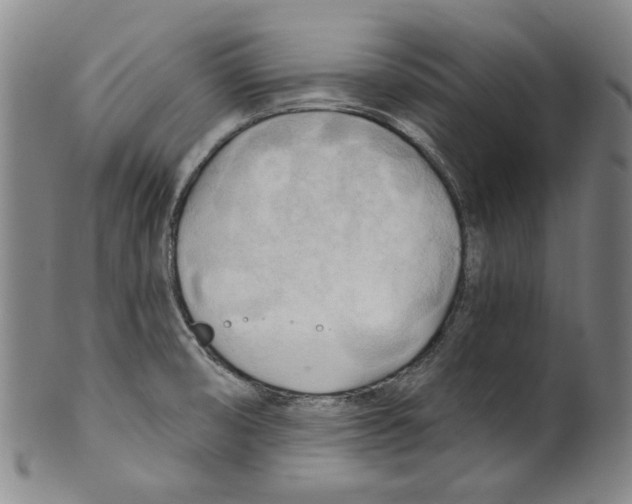 X0000099421474200806060944