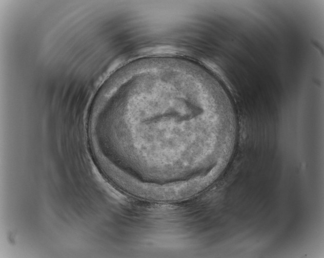 X0000099421475200806060944