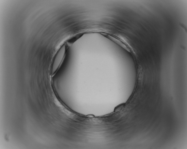 X0000099421476200806060943