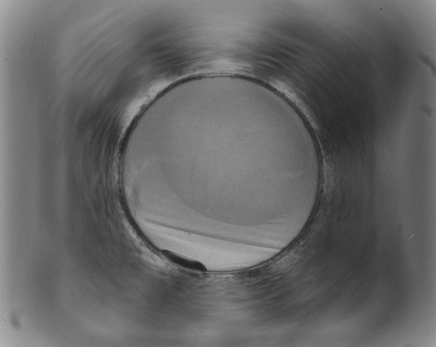 X0000099421477200806060943