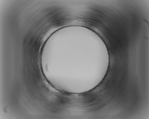 X0000099421478200806060943