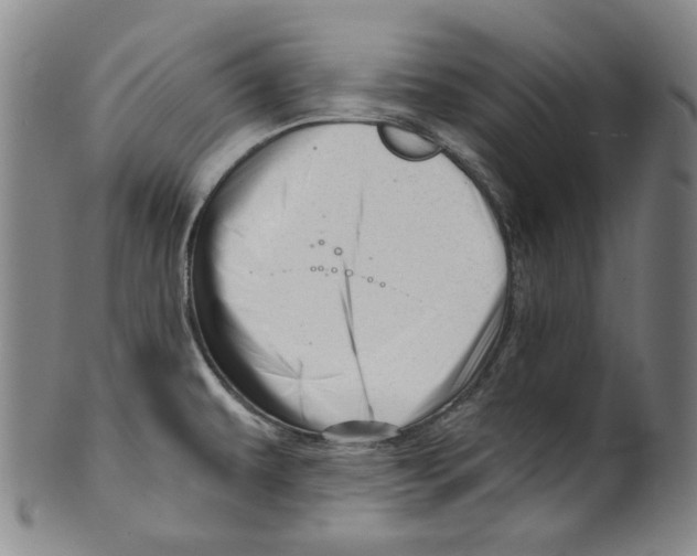 X0000099421479200806060943