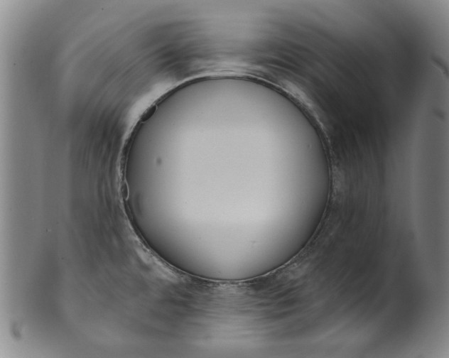 X0000099421480200806060943