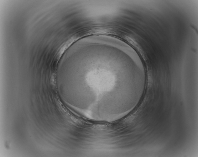 X0000099421481200806060943