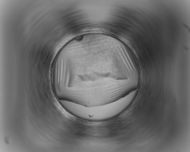 X0000099421482200806060943