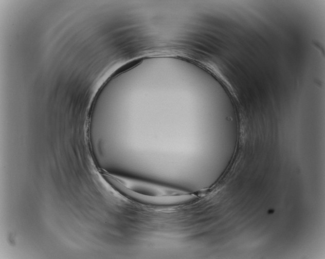 X0000099421484200806060943