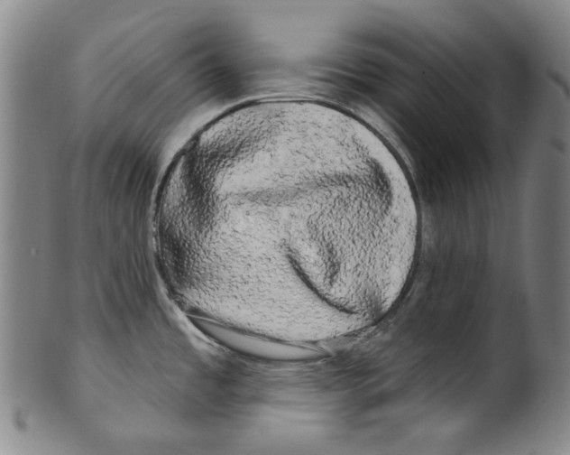 X0000099421485200806060943