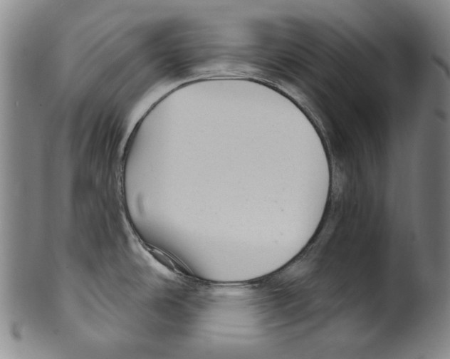 X0000099421486200806060943