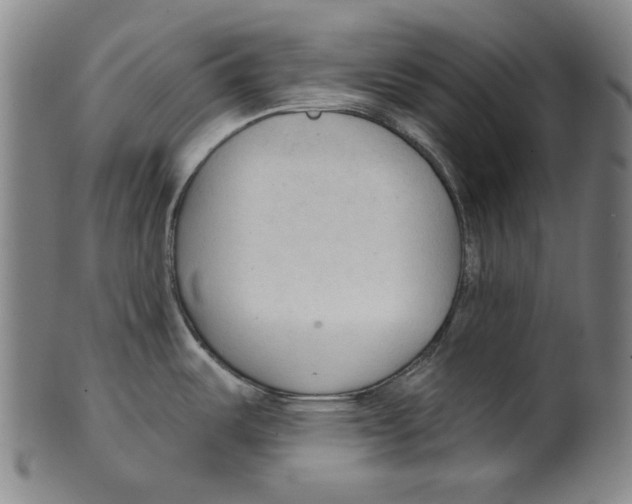 X0000099421487200806060943