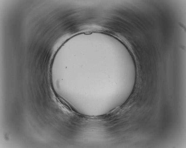 X0000099421488200806060943