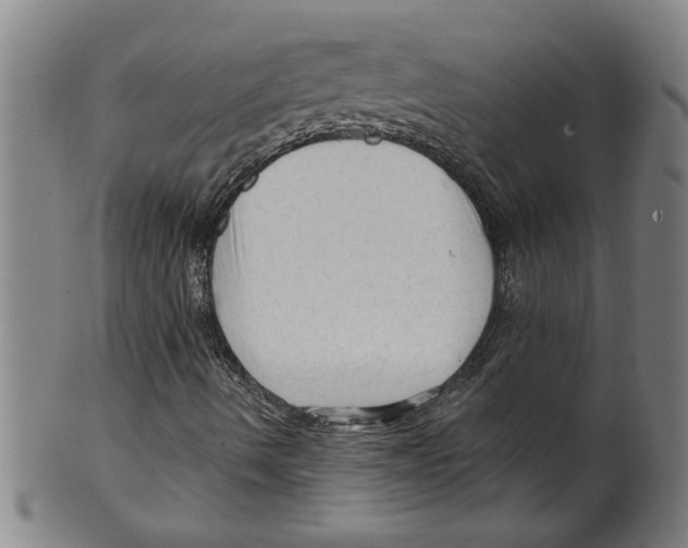 X0000099421490200806060943