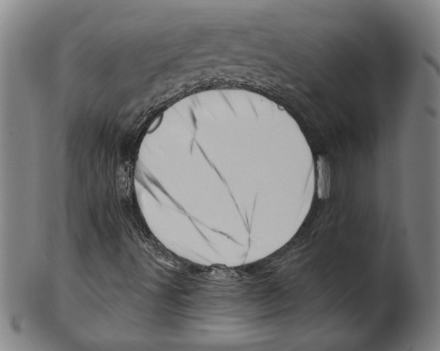 X0000099421491200806060943