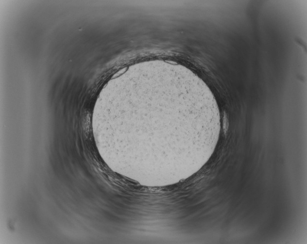 X0000099421492200806060943