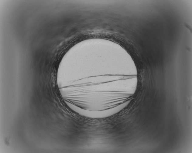 X0000099421493200806060943