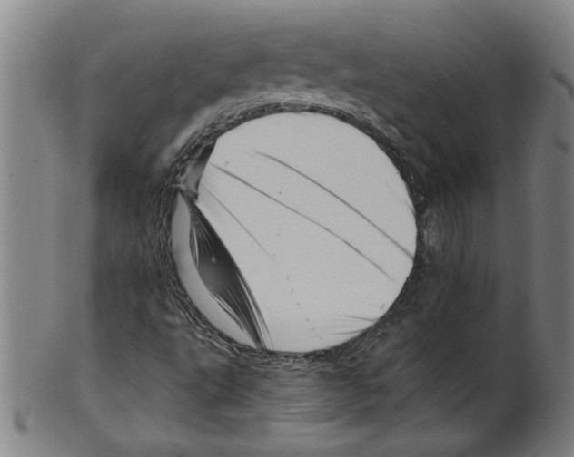 X0000099421495200806060943