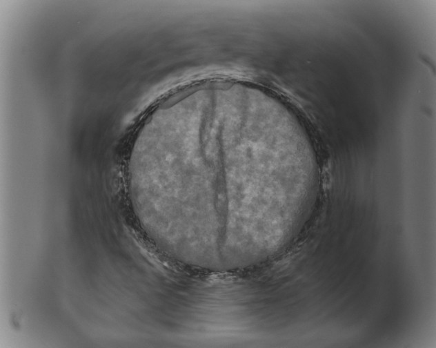 X0000099421496200806060943