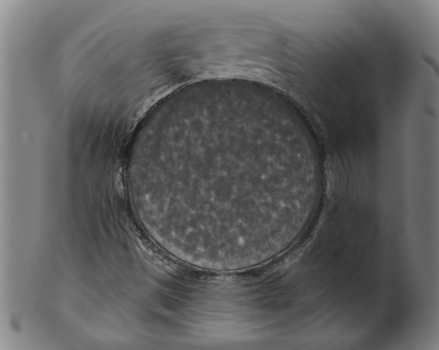 X0000099421497200806060943