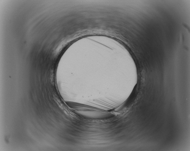 X0000099421499200806060943