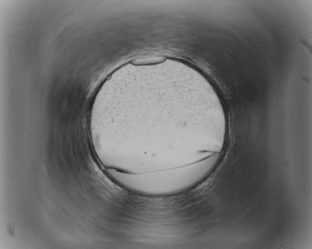 X0000099421500200806060943