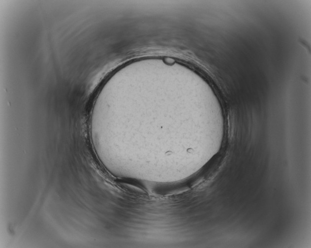 X0000099421501200806060943