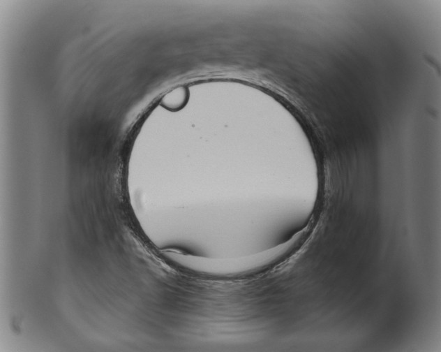 X0000099421502200806060943