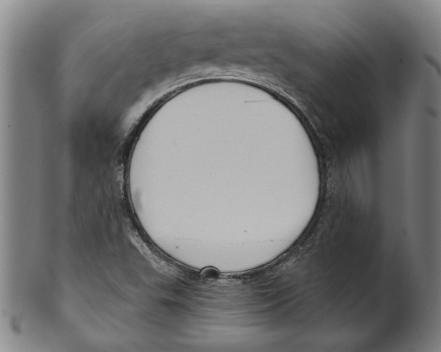 X0000099421503200806060943