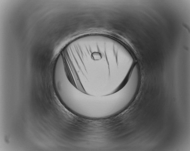 X0000099421504200806060943