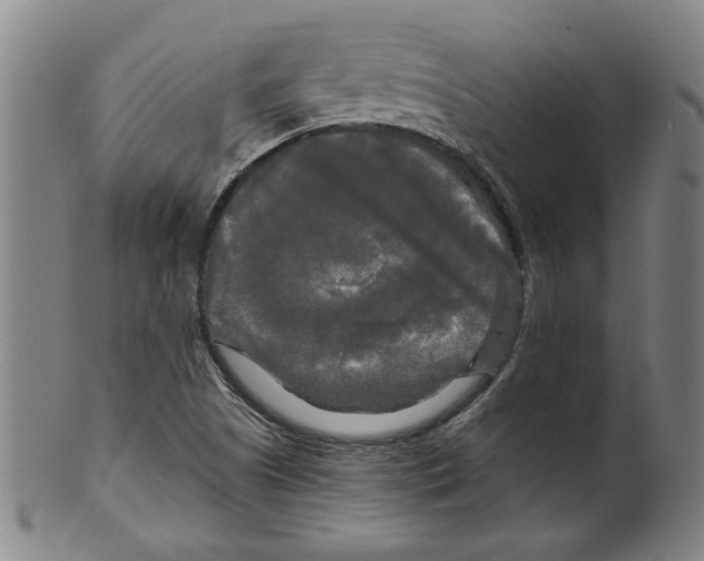 X0000099421505200806060943