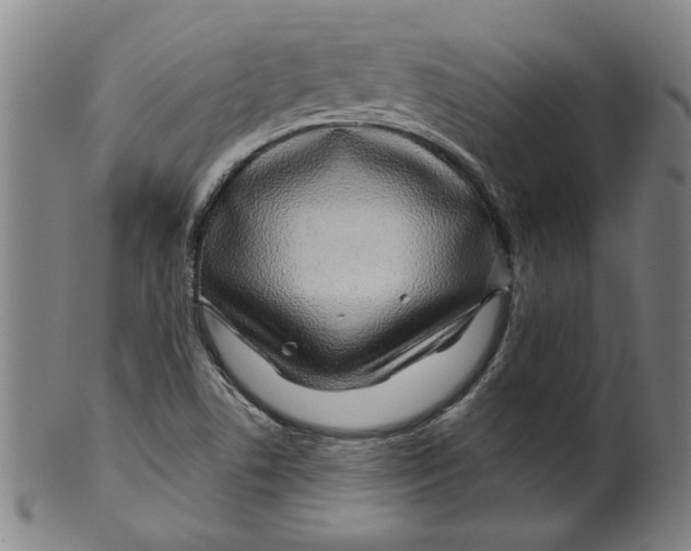 X0000099421506200806060943