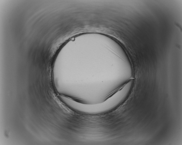 X0000099421507200806060943