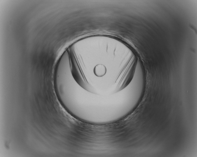 X0000099421508200806060943