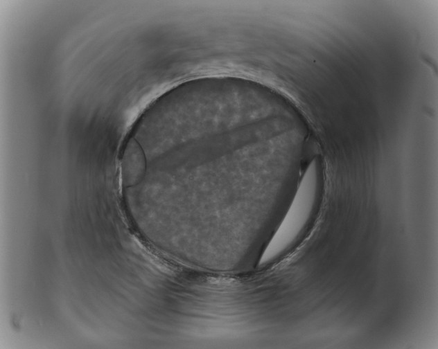 X0000099421509200806060943