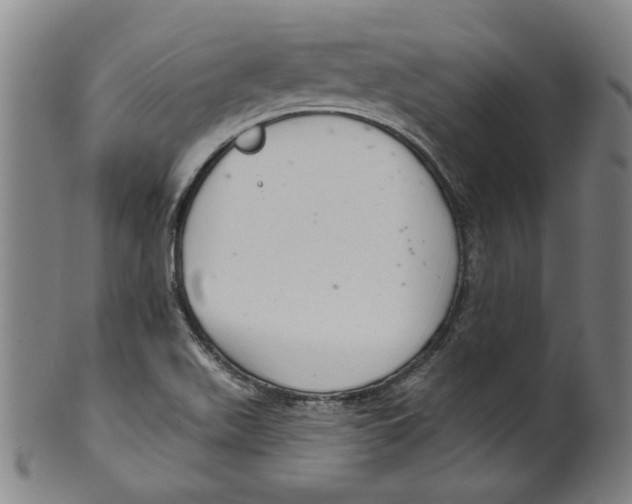 X0000099421511200806060943