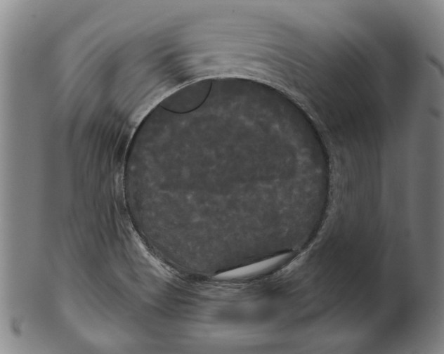 X0000099421513200806060943