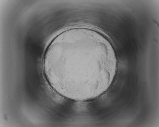 X0000099421514200806060943