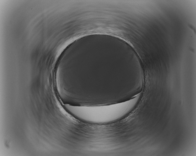 X0000099421515200806060943